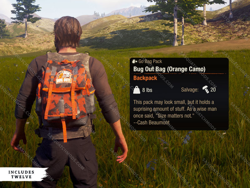 state of decay 2 bug out bag