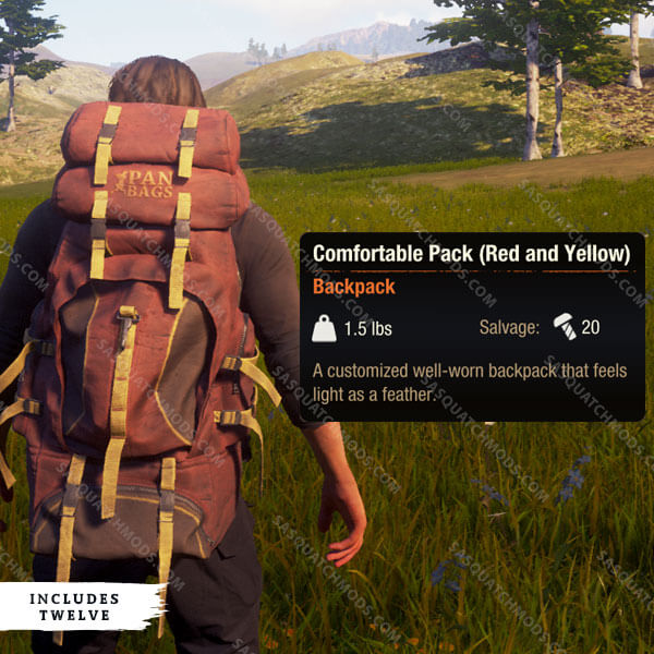 state of decay 2 comfortable pack