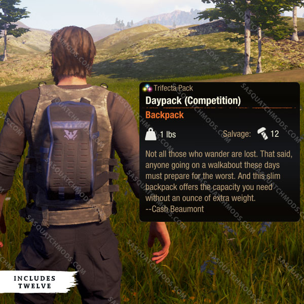 state of decay 2 competition daypack