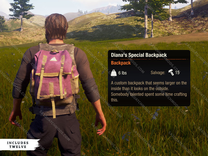 state of decay 2 diana's special backpack