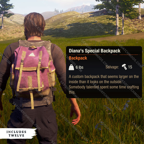 state of decay 2 diana's special backpack