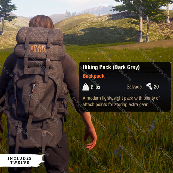 state of decay 2 Hiking Pack (dark grey)