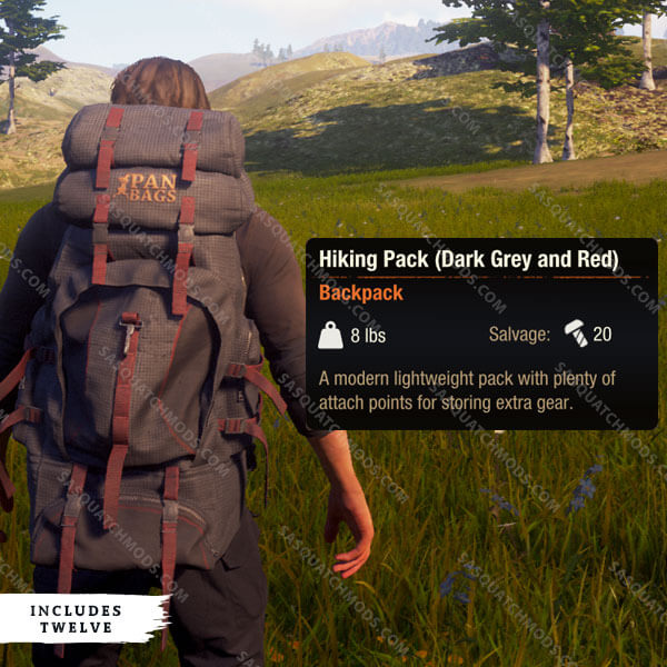 state of decay 2 Hiking Pack (dark grey and red)