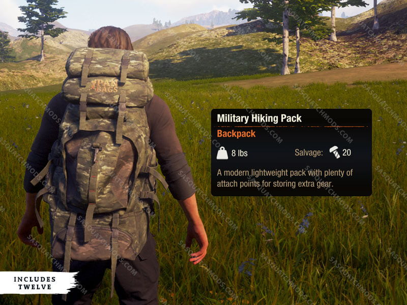 state of decay 2 Military Hiking Pack