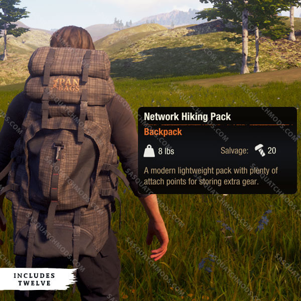 state of decay 2 network hiking pack