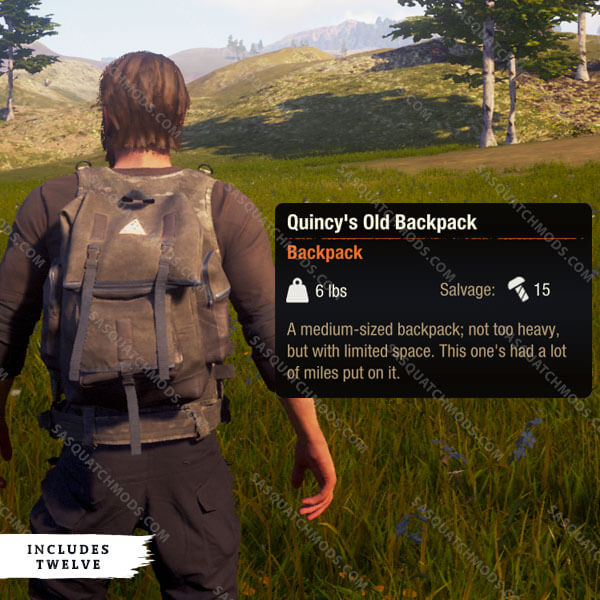 state of decay 2 Quincy's Old Backpack