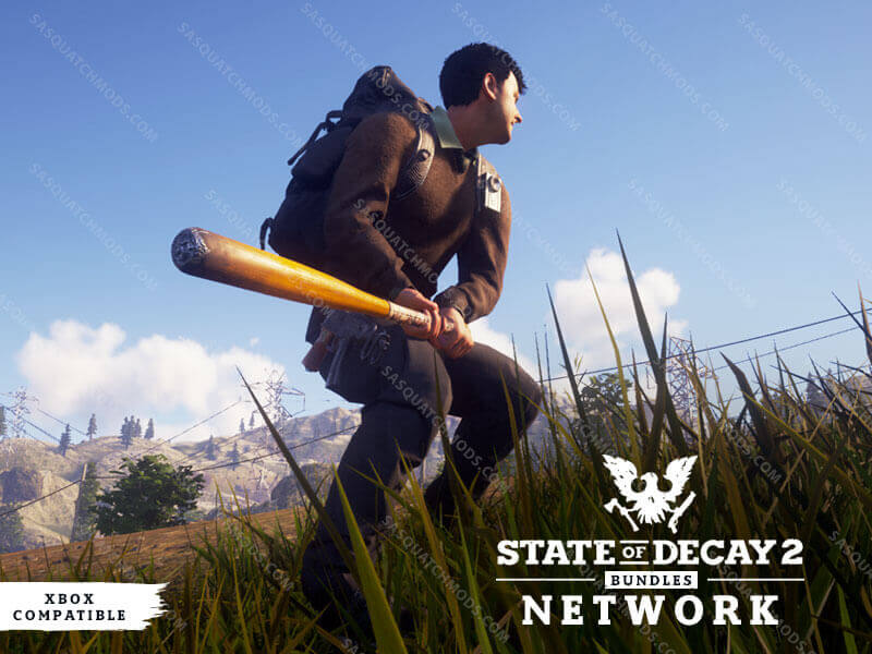 state of decay 2 network pack