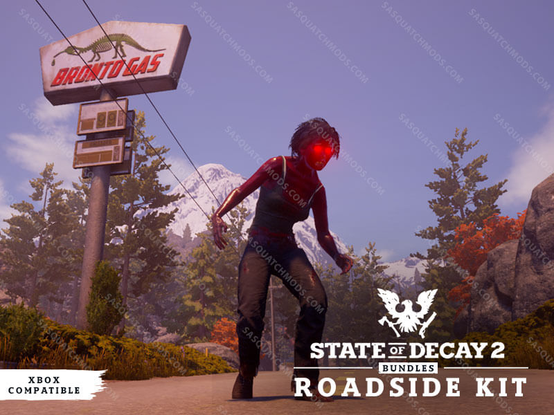 state of decay 2 roadside kit