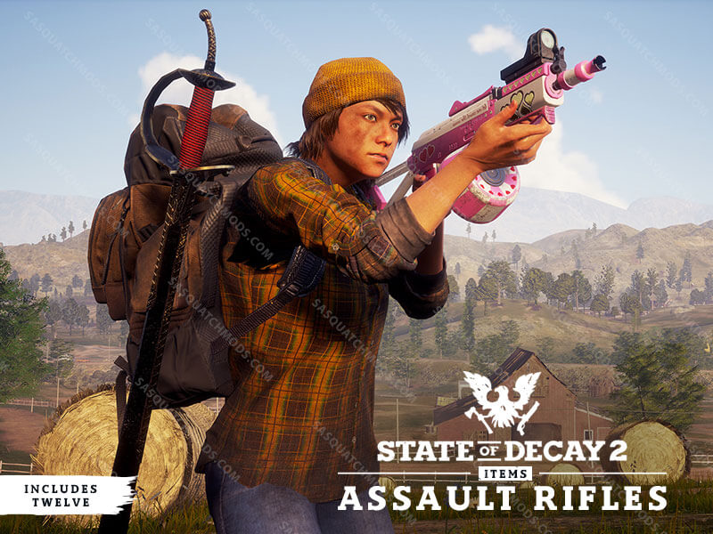 state of decay 2 assault rifle