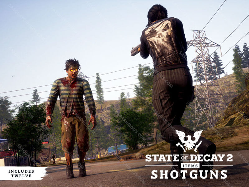 state of decay 2 shotguns