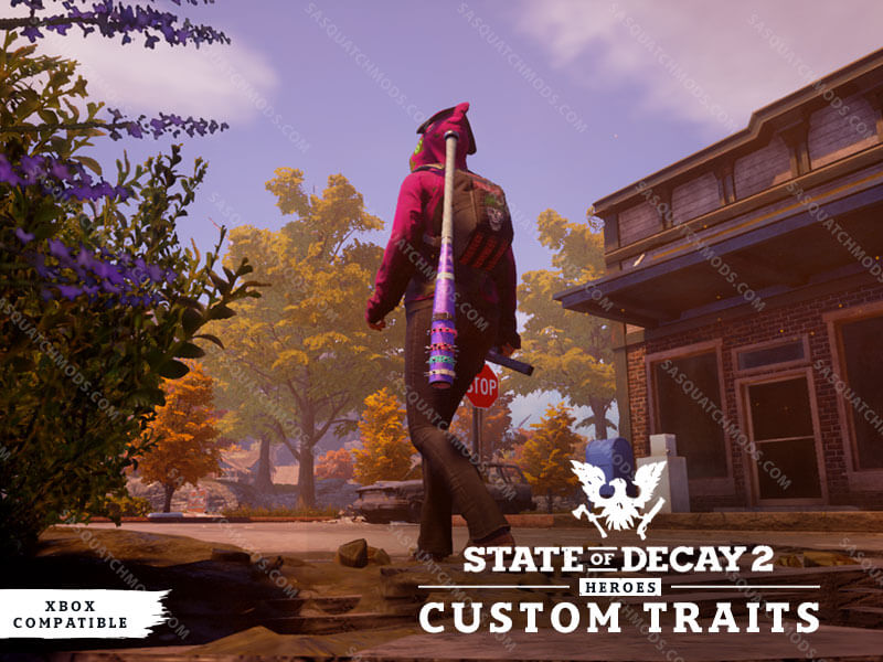 state of decay 2 custom survivor