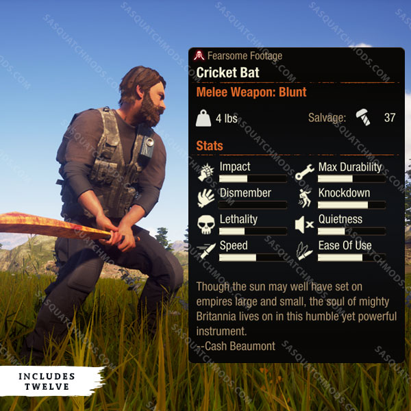 state of decay 2 cricket bat