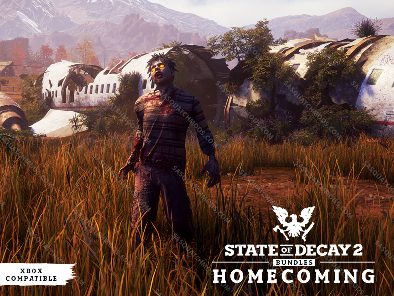 State of Decay 2  Upcoming Mods Showcase 