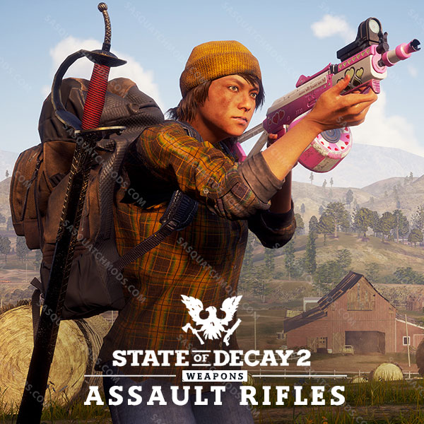 state of decay 2 modded weapons