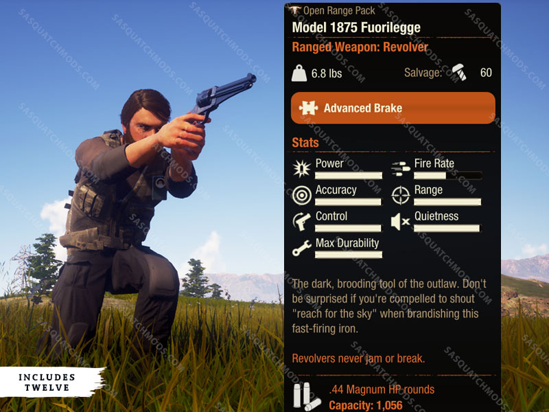 state of decay 2 model 1875 fuorilegge