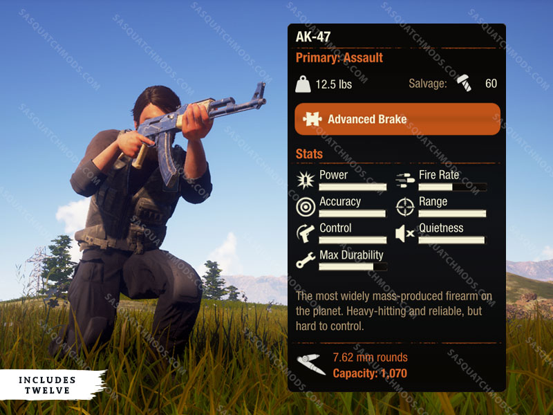 state of decay 2 AK-47