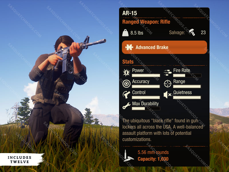 state of decay 2 ar-15