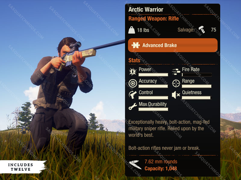 state of decay 2 arctic warrior