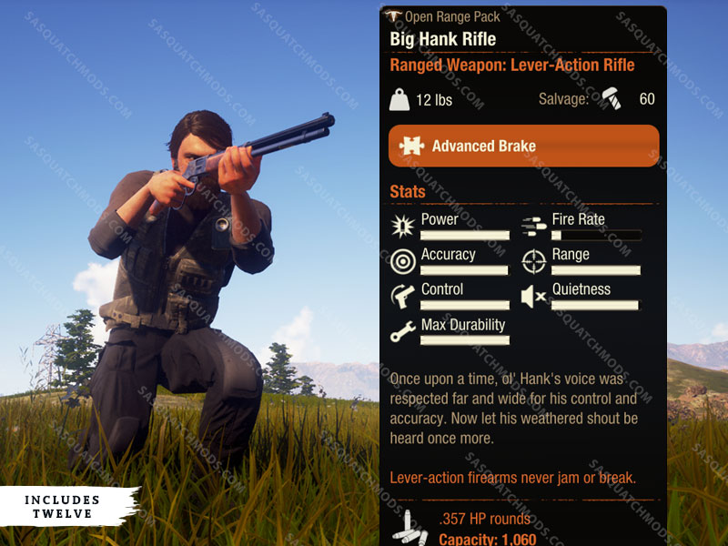 state of decay 2 big hank rifle