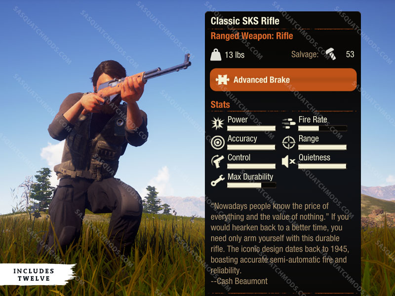 state of decay 2 Classic SKS Rifle