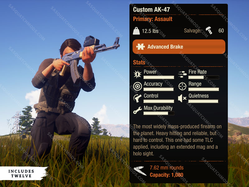 state of decay 2 Custom AK-47