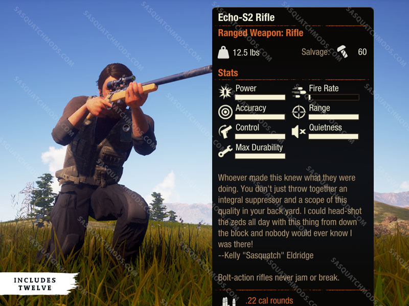 state of decay echo-s2 rifle