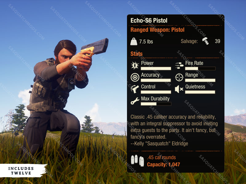 state of decay 2 Echo s6 pistol