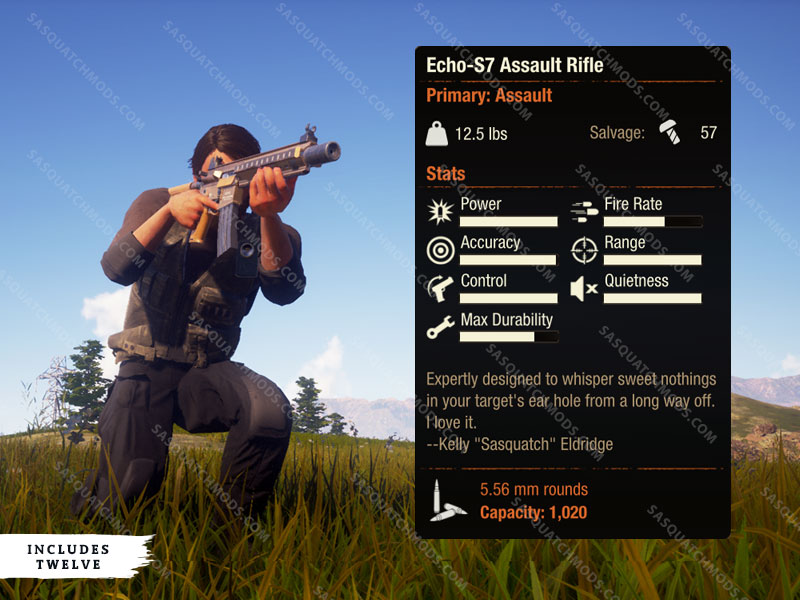 state of decay 2 echo-s7 assault rifle