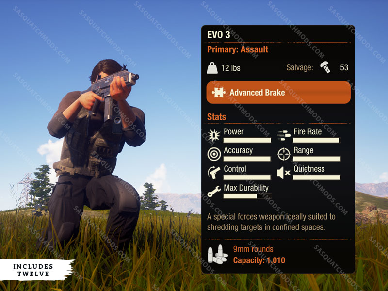 state of decay 2 evo 3