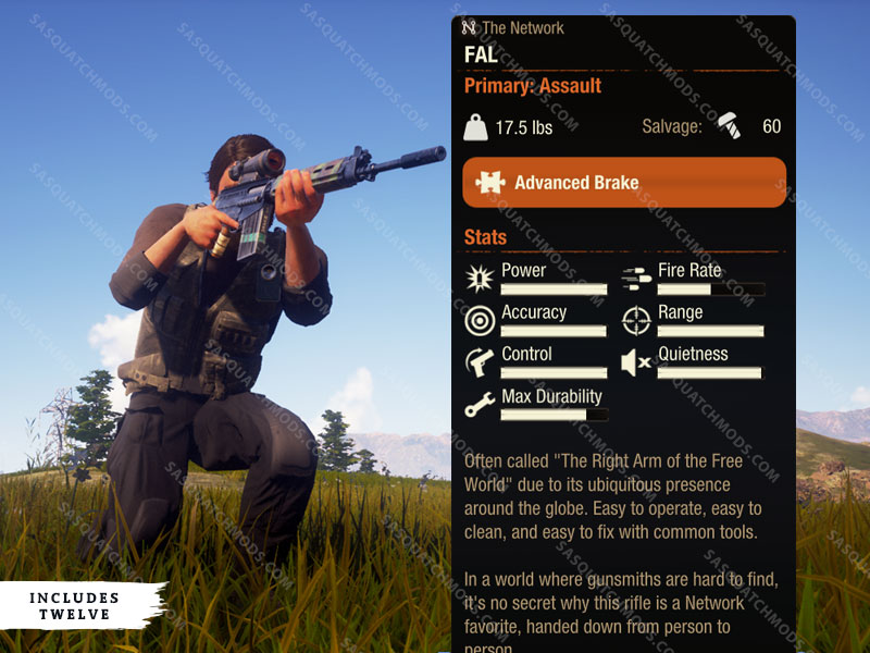 state of decay 2 fal