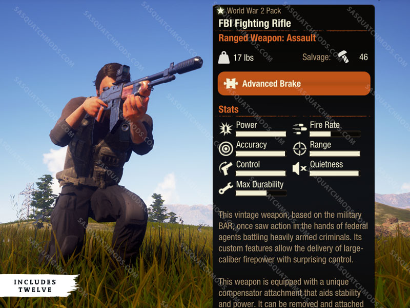 state of decay 2 fbi fighting rifle