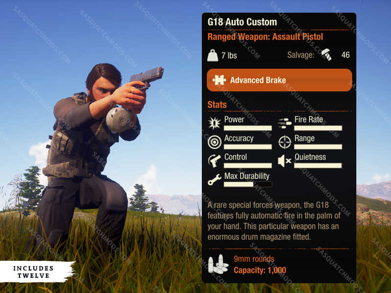 state of decay 2 G18 Auto Custom