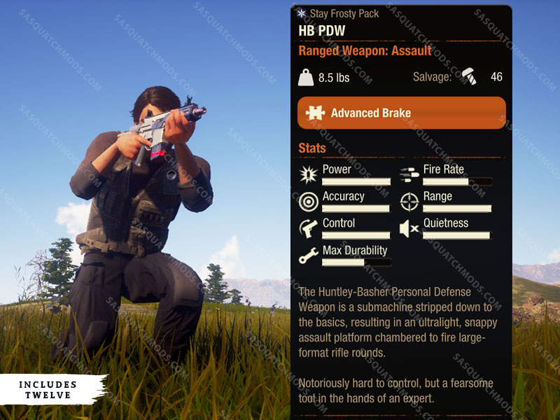 state of decay 2 hb pdw