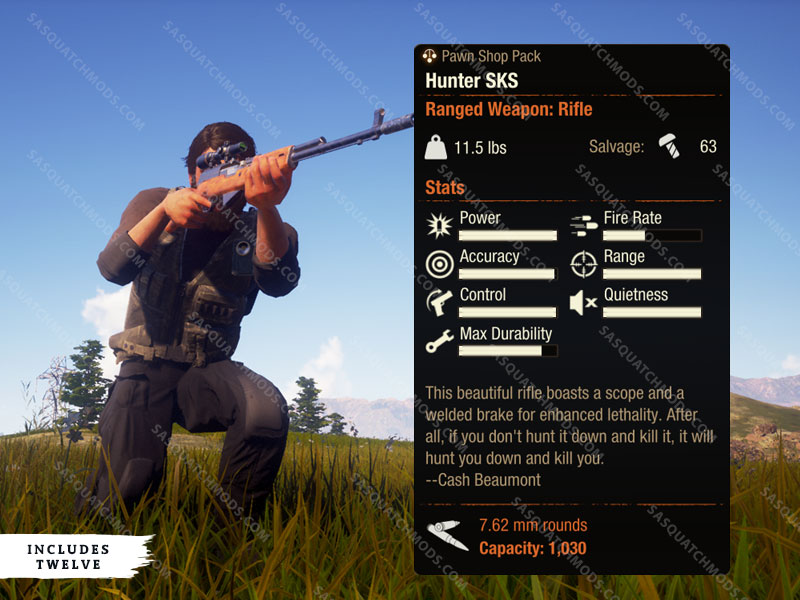 state of decay 2 hunter sks