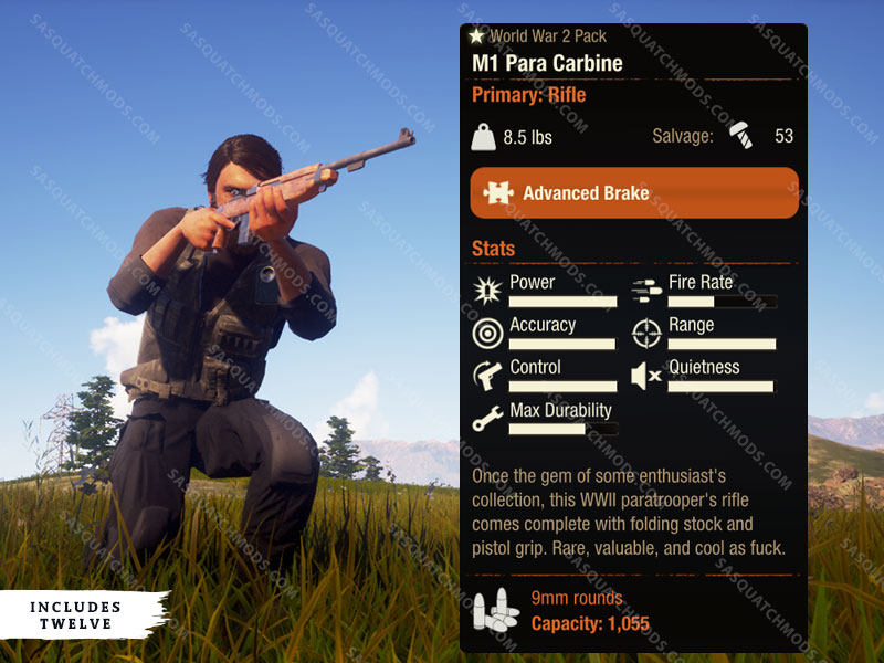 state of decay 2 m1 para carbine