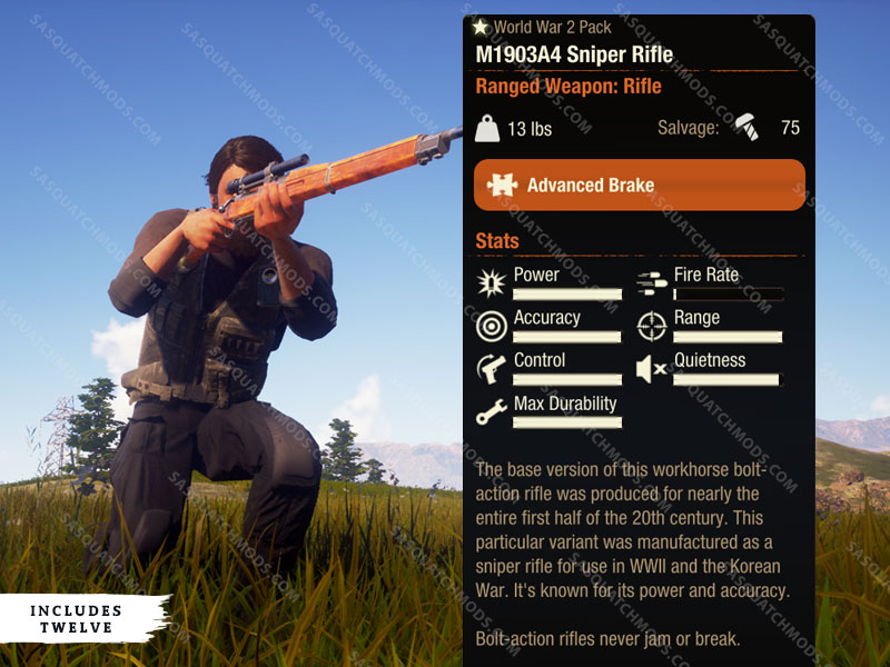 state of decay m1903A4 sniper rifle
