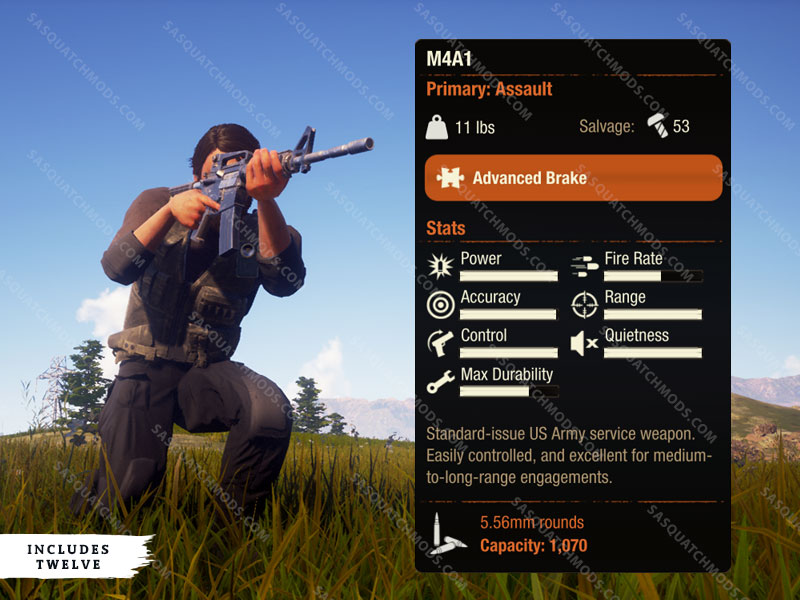 state of decay 2 M4A1