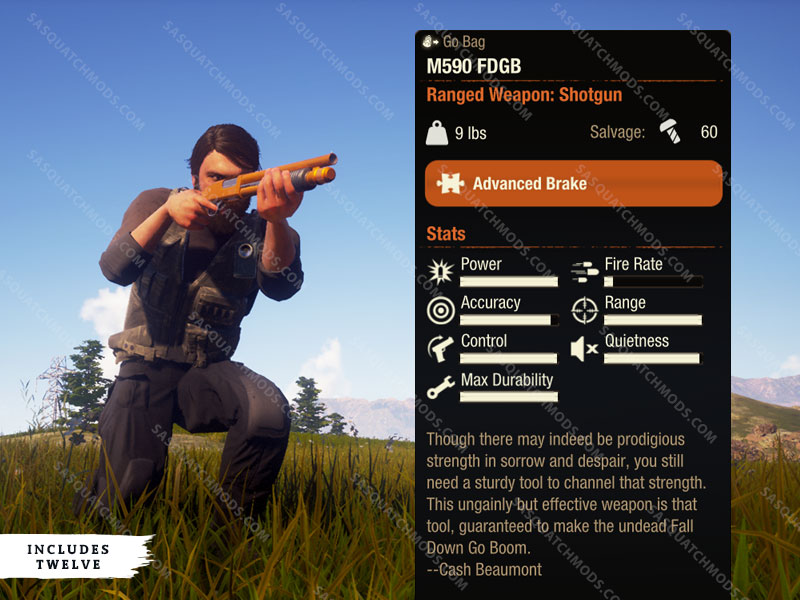 state of decay 2 m590 fdgb