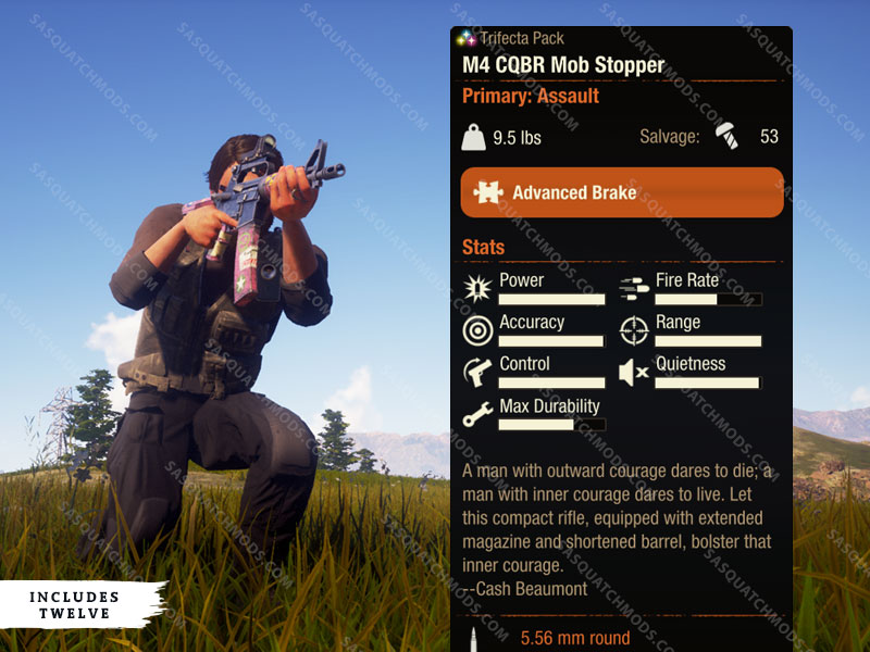 state of decay 2 m4 cqbr mob stopper
