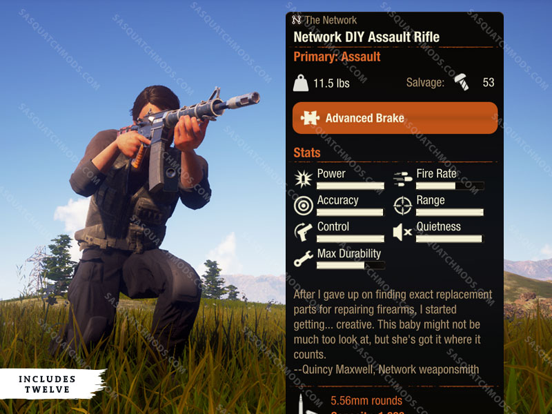 state of decay 2 network diy Assault Rifle