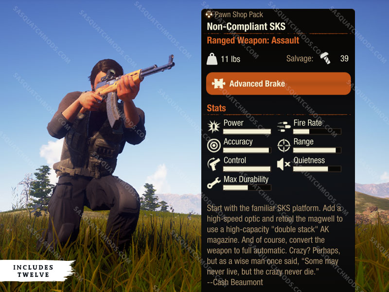 state of decay 2 non compliant sks