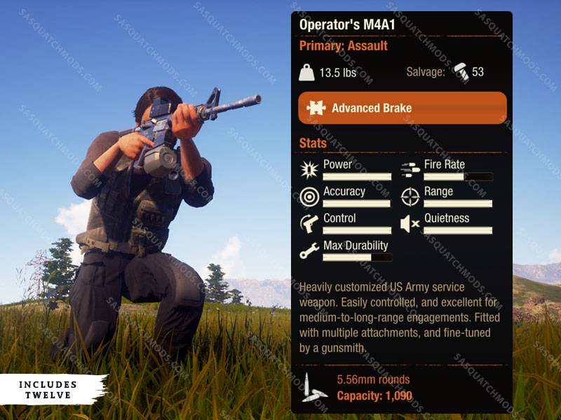 state of decay 2 operator's M4A1