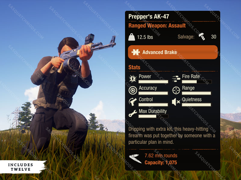 state of decay 2 Prepper's AK-47