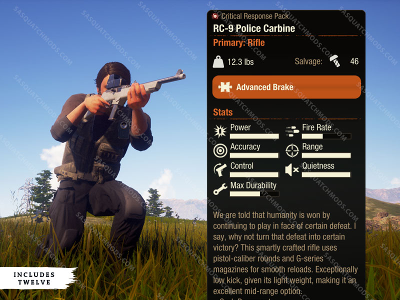 state of decay 2 rc-9 police carbine