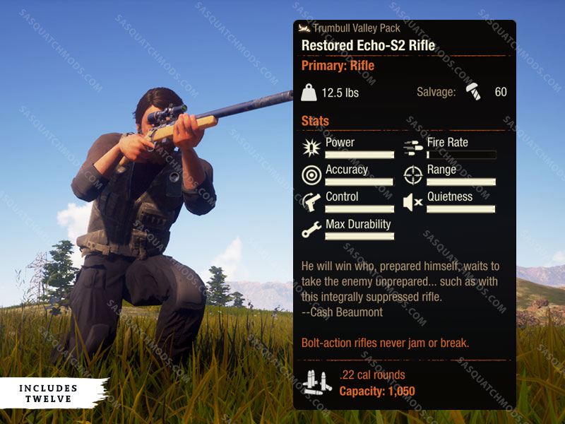 state of decay 2 restored echo-s2 rifle