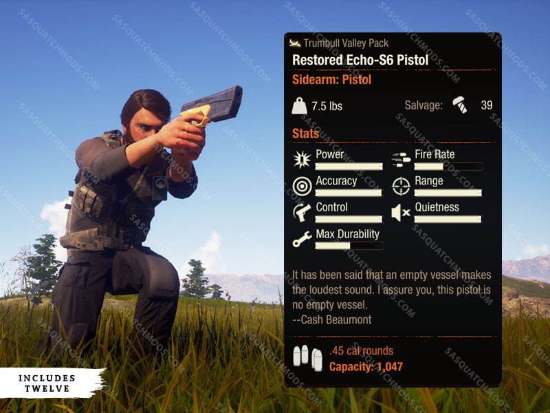 state of decay 2 restored echo-s6 pistol