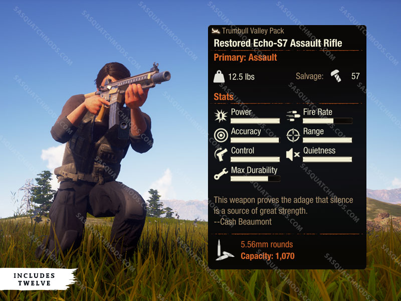 state of decay 2 restored echo-s7 assault rifle