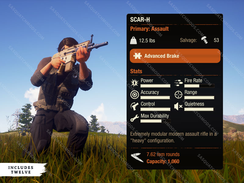 state of decay 2 scar-h