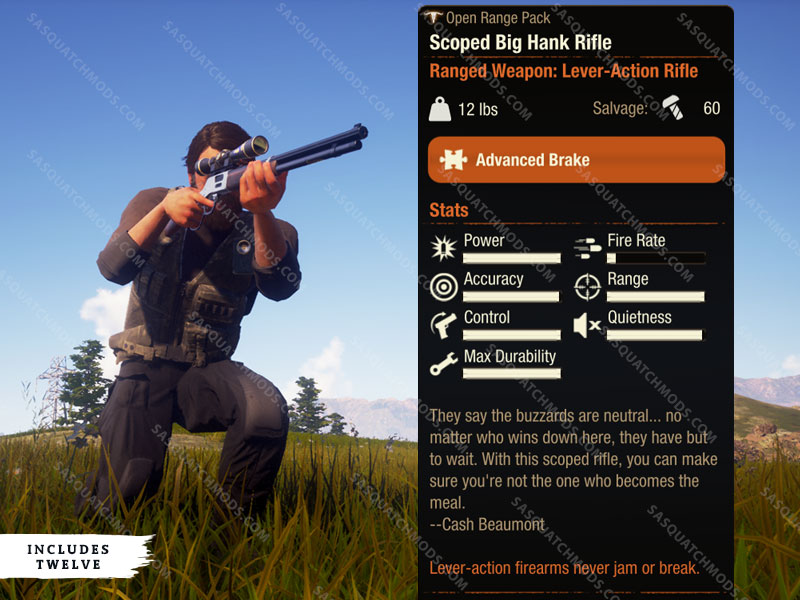 state of decay 2 scoped big hank rifle