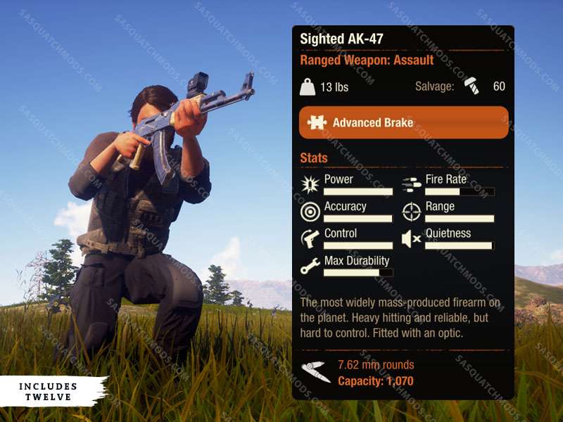 state of decay 2 sighted ak 47